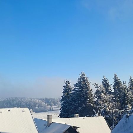 Pension Thueringer Wald Reichmannsdorf Exterior foto