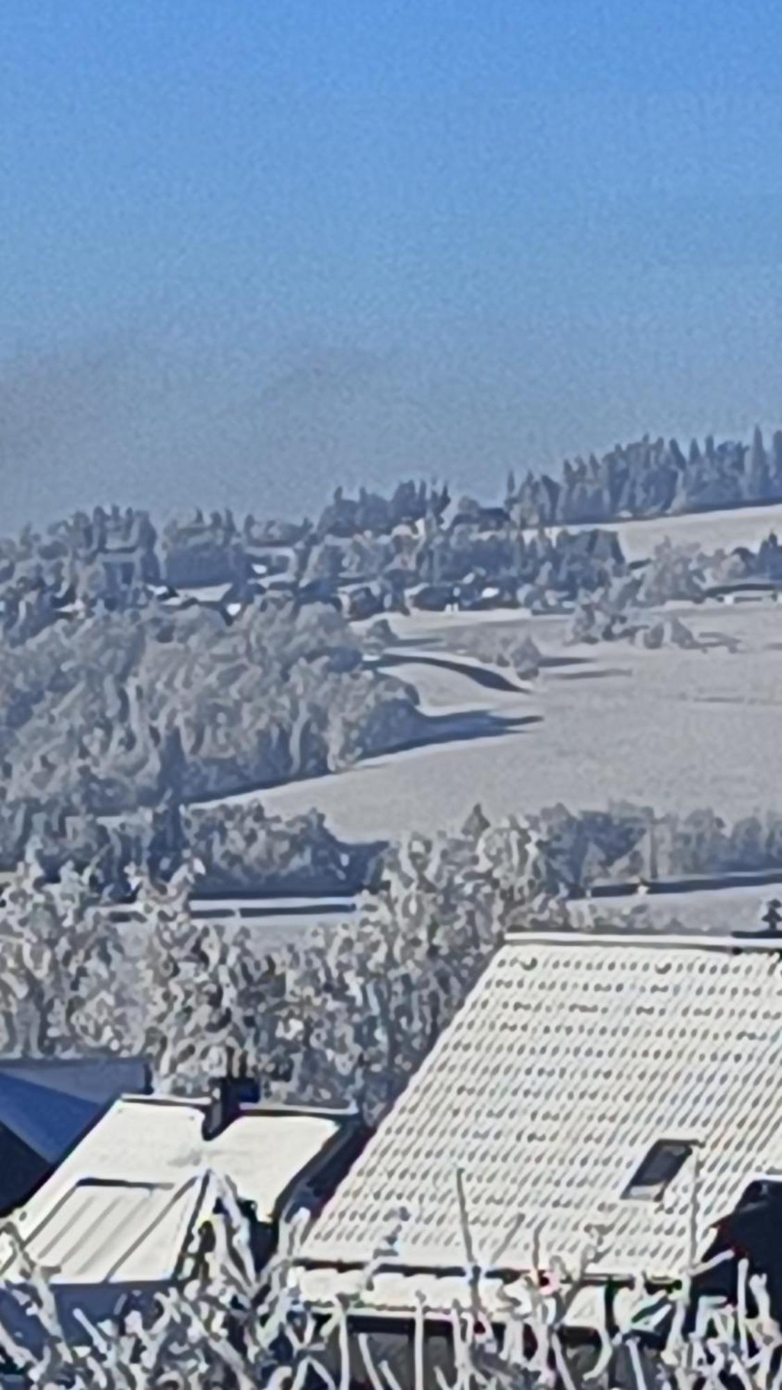 Pension Thueringer Wald Reichmannsdorf Exterior foto